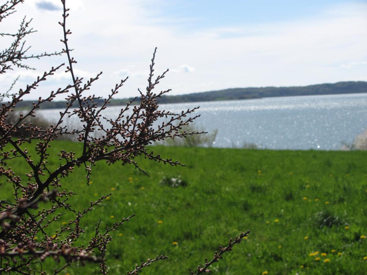 Tisvildehegn Bandb Helsinge Екстериор снимка