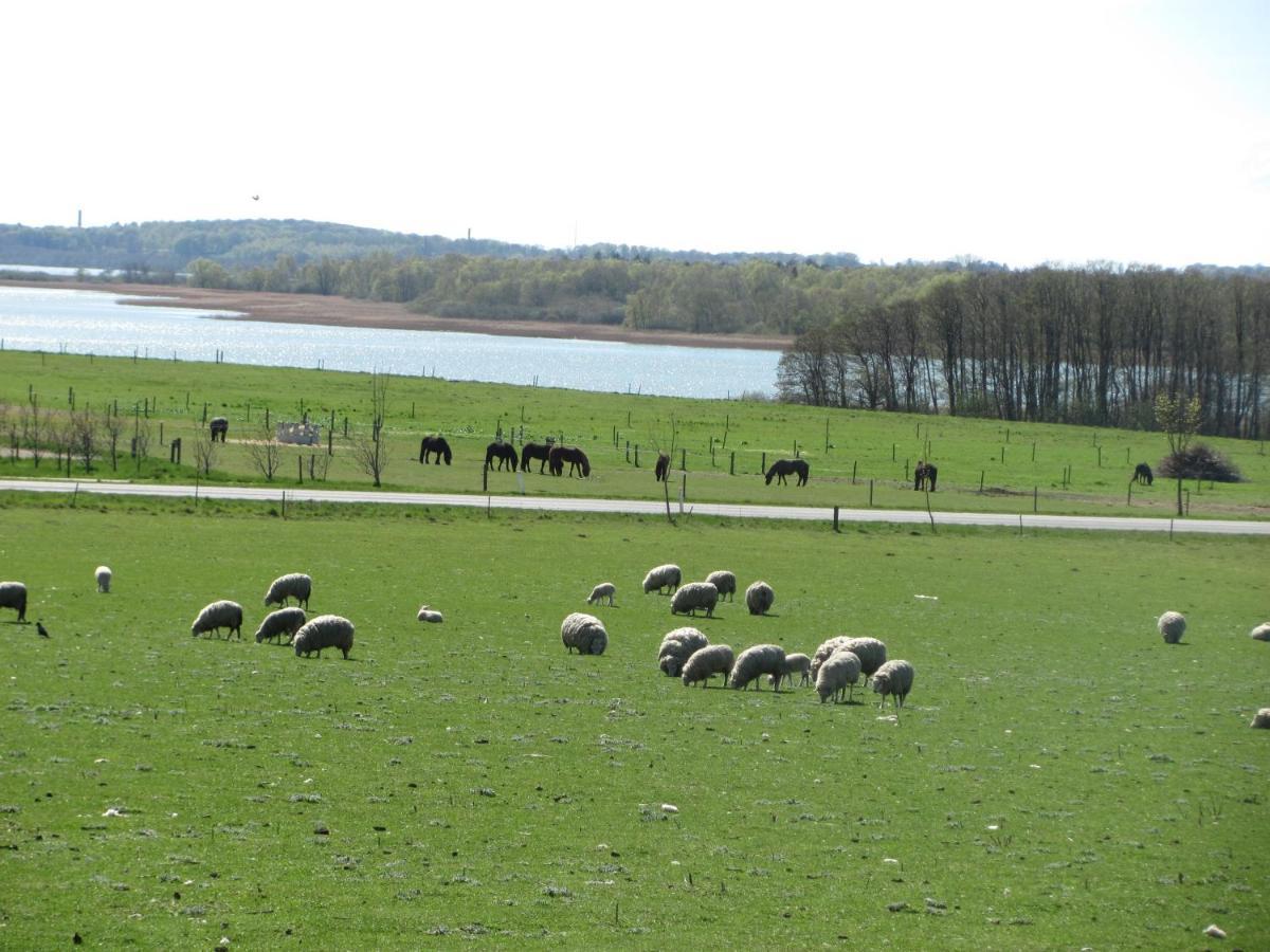 Tisvildehegn Bandb Helsinge Екстериор снимка